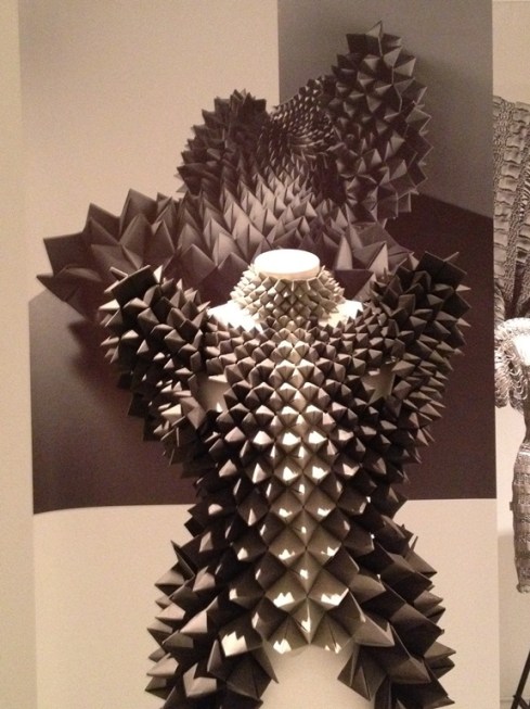 סנדרה בקלונד