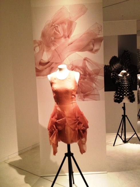 סנדרה בקלונד