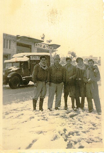 409px-PikiWiki_Israel_17282_a_snow_in_Tiberia