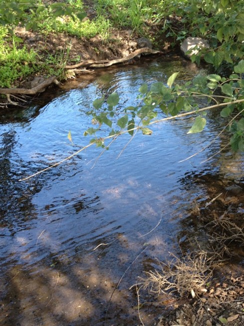 כחול וירוק לכל אורך הדרך