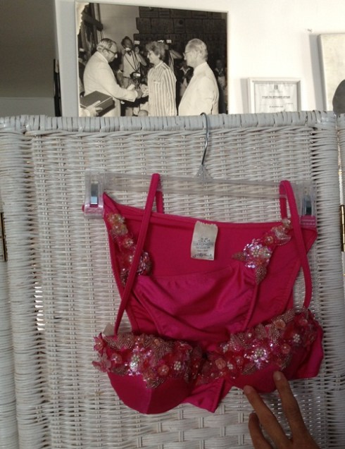 בגד ים בהשראת בלט וברקע צילום של גב' גוטליב מקבלת פרס מידי הנשיא דאז, יצחק נבון