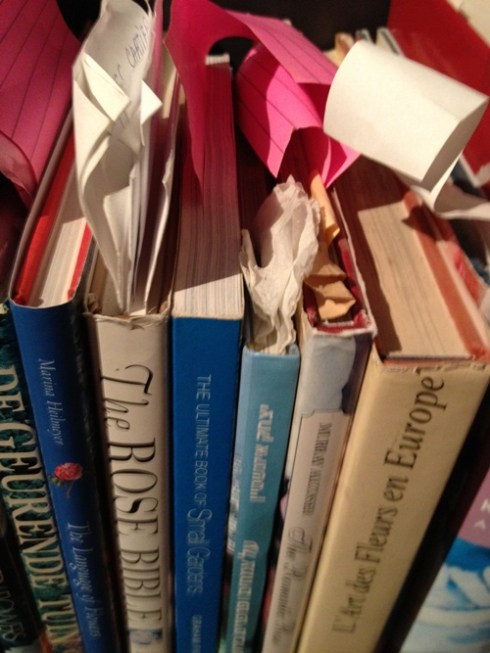 עוד ספרים עם סימונים