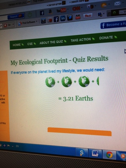 סיכום טביעת הרגל הפחמנית שלי. ממש לא נעים.