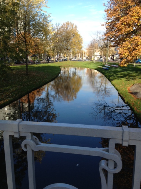 השתקפות וגשר