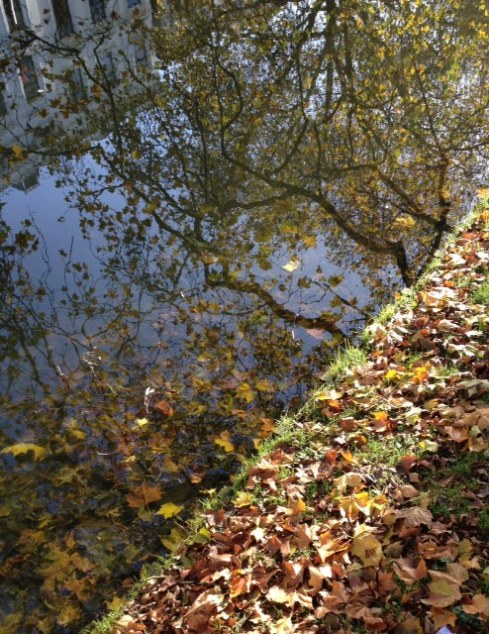 השתקפות סתוית