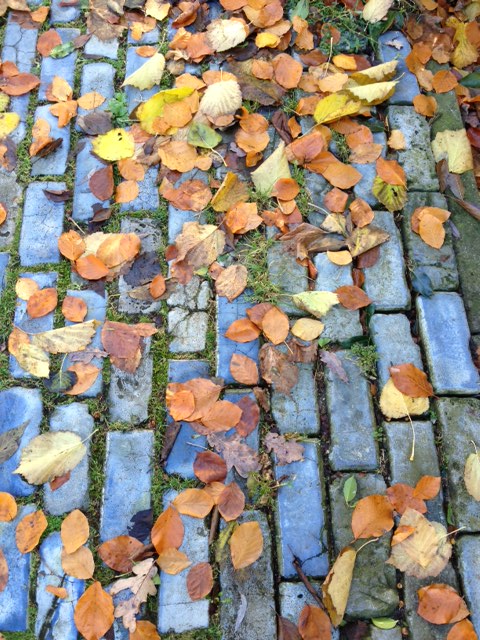 טקסטורה המתאימה לצעיף משי