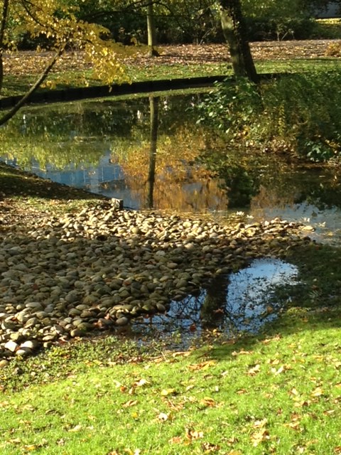 השתקפויות סתיו
