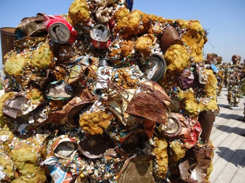 מבט מקרוב צילום: אילה רז