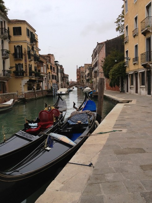 ונציה המופלאה